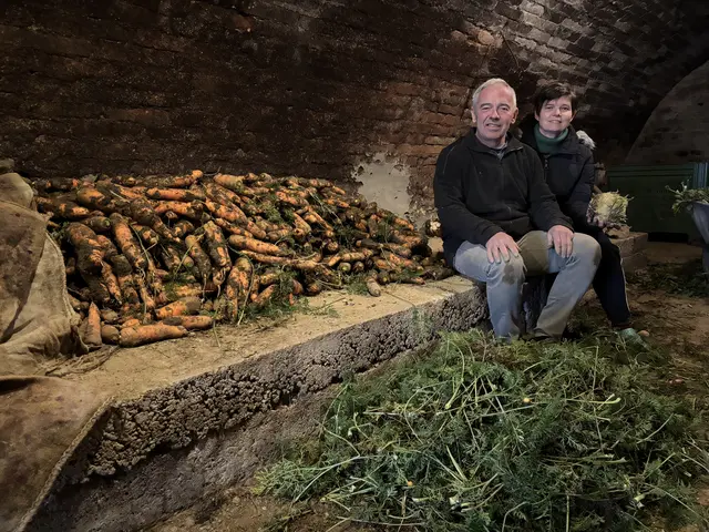 Petra und Franz Fuchs könnten eine Einnahmequelle verlieren. | Foto: Tanja Handlfinger