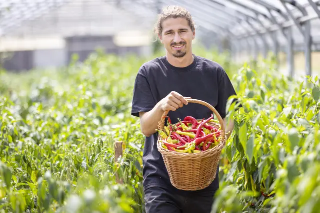 Lorenz Buchgraber und sein Gemüsebetrieb sorgen dafür, dass auch in der kalten Jahreszeit nicht auf den Genuss von Gemüse verzichtet werden muss. | Foto: AMA genuss Region/Harald Eisenberger