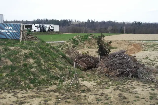 Damals-Foto vom 21.3.2024. | Foto: B. Hofmann