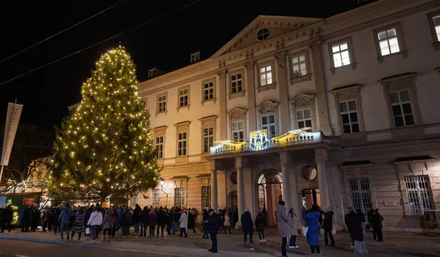 Der Christbaum vor dem Schloss Mirabell – eine rund 20 Meter hohe Fichte aus dem Halleiner Stadtteil Burgfried – wurde gestern Abend, 24. November offiziell illuminiert.  | Foto: Stadt Salzburg/Alexander Killer
