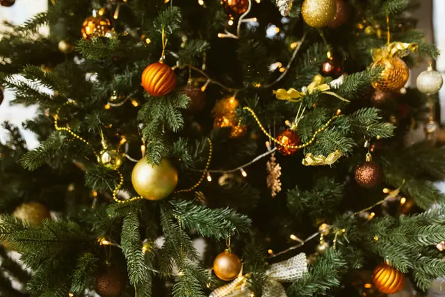 NÖ Christbaumbäuerinnen und -bauern starten mit einem Aufruf zu mehr Achtsamkeit in die Christbaumsaison 2025. (Symbolfoto) | Foto: pexels