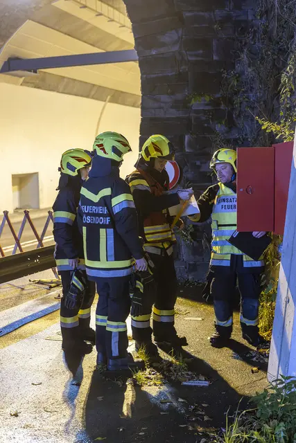 Foto: (c)Manfred Wimmer