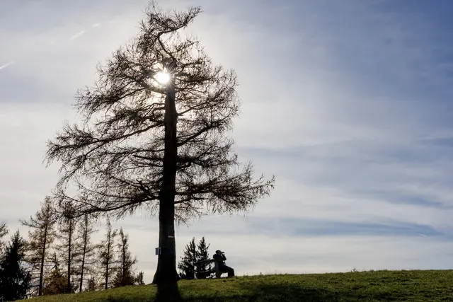 Foto: Bernhard Roidinger