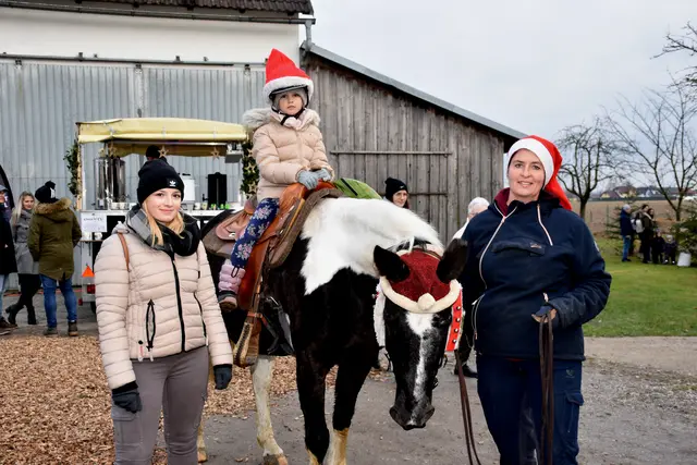 Weihnachtsmarkt bei den Alpakas am Hacknerhof in Mitterkirchen. Bild von 2023. | Foto: Robert Zinterhof