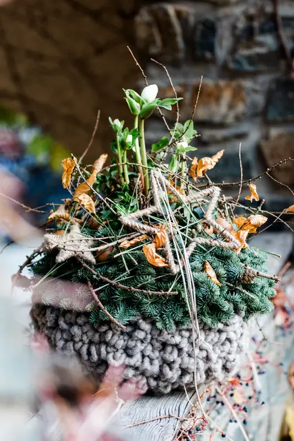 Niederösterreichs Floristinnen und Floristen schaffen vorweihnachtliche Wohlfühloasen. | Foto: @dropthebutter / @blumenbuero_oesterreich