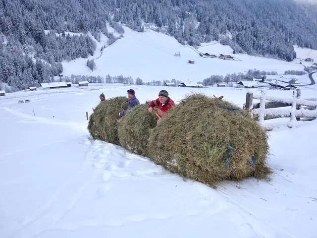 Foto: Werner Kräutler