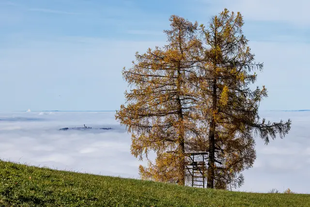 Foto: Bernhard Roidinger