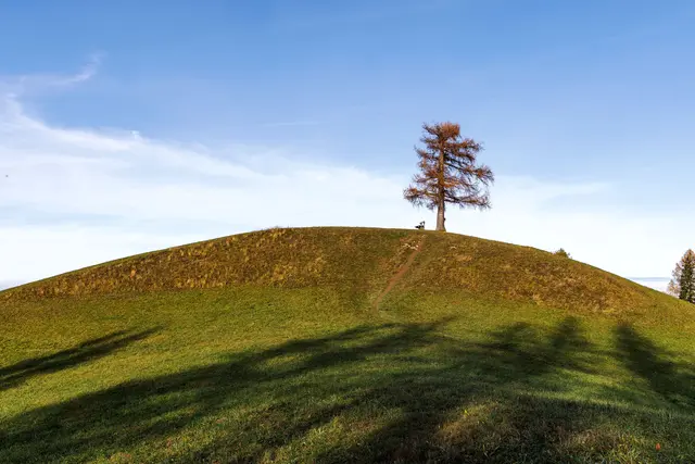 Foto: Bernhard Roidinger