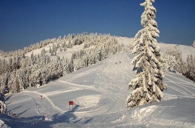 Ein Blick vom Kurvenlift Richtung Anzenberg. | Foto: Josef Wind