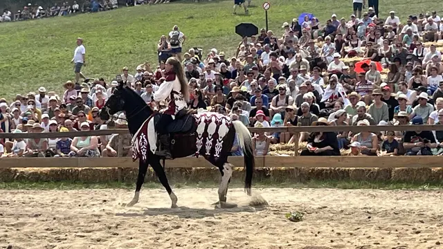 Ein Höhepunkt des Jahres war das 11. Mittelalterfest, das mit rund 7.500 Besucherinnen und Besuchern einen deutlichen Publikumsrekord verzeichnete.  | Foto: Jedenspeigen