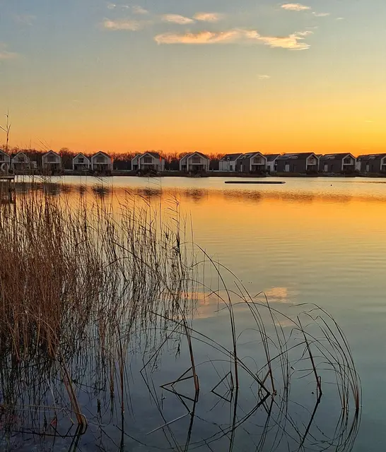 Bild @renatahfotografie
November -Vila Vita 2025