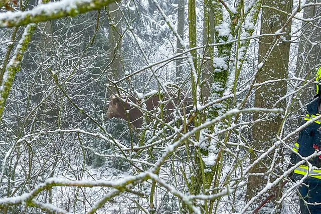 Foto: Fotokerschi/Flanz Plechinger