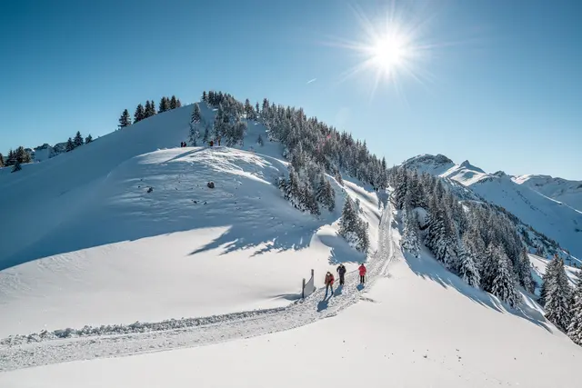 Wander im Tal oder oben am Berg: Die Möglichkeiten sind vielfältig. | Foto: Anna Meurer