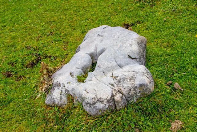 Der schlafende Steinkopf in der Wiese