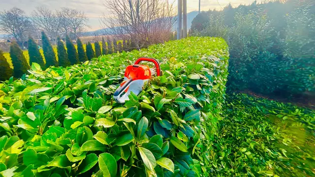 Herbstliche Gartenarbeit und Heckenschnitt: Hofmann Günter GmbH aus Spillern sorgt für gepflegte Gärten in Wien und Umgebung. | Foto: Hofmann Günter