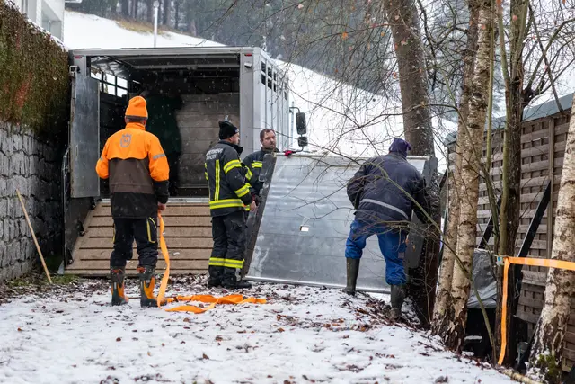 Foto: Fotokerschi/Flanz Plechinger