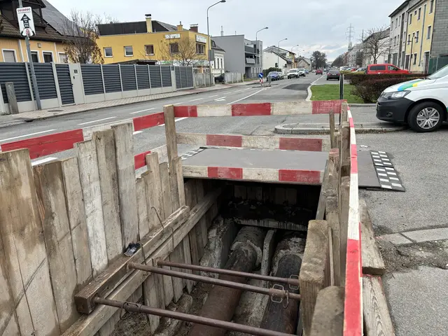 Foto: Luca Arztmann/MeinBezirk