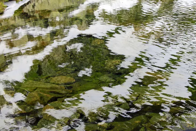 Ein Krampuskopf aus dem Oberhüttensee