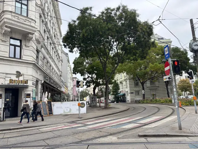 Für Diskussionen sorgte vor allem der Josef-Matthias-Hauer-Platz. | Foto: Pia Rotter/MeinBezirk