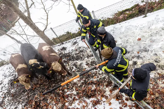 Foto: Fotokerschi/Flanz Plechinger
