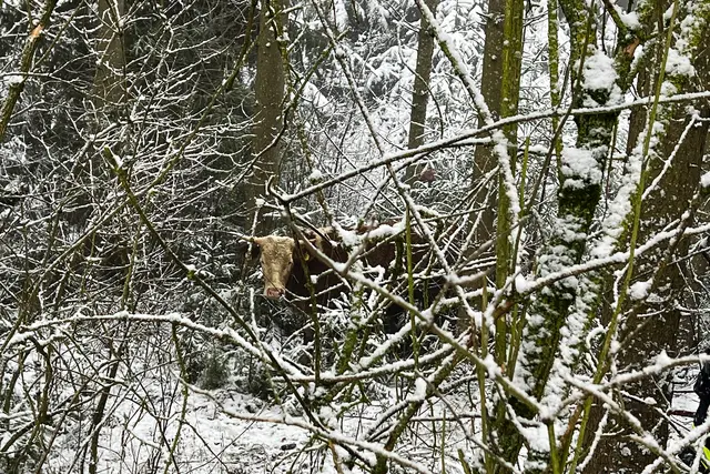 Foto: Fotokerschi/Flanz Plechinger
