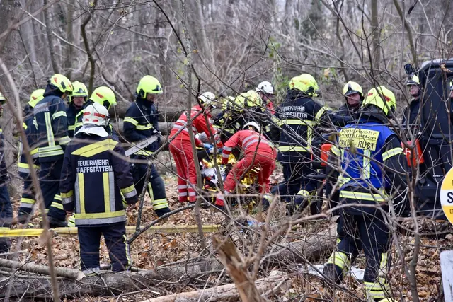 Menschenrettung in Tribuswinkel – Mann unter Baum eingeklemmt. | Foto: Thomas Lenger, Monatsrevue