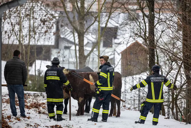 Foto: Fotokerschi/Flanz Plechinger