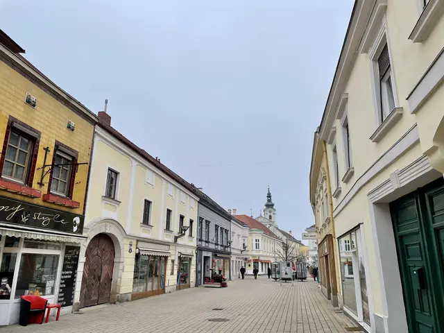 Wer bei kleinen österreichischen Händlern einkauft, tut auch etwas gegen leere Innenstädte.  | Foto: Michalka