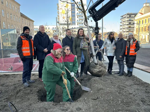 Feierlich ließ sich eine Blasenesche in ihr künftiges Zuhause einsetzen. Die Bauarbeiten im ersten Teil der Favoritenstraße sind offiziell abgeschlossen. | Foto: Nathanael Peterlini/MeinBezirk