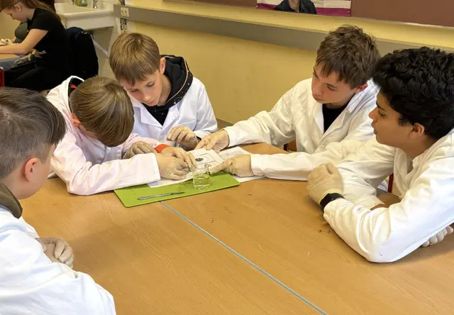 Die jungen Schüler beim Forschen in der Schule. | Foto: Leitner-Scherz/Hirschmann