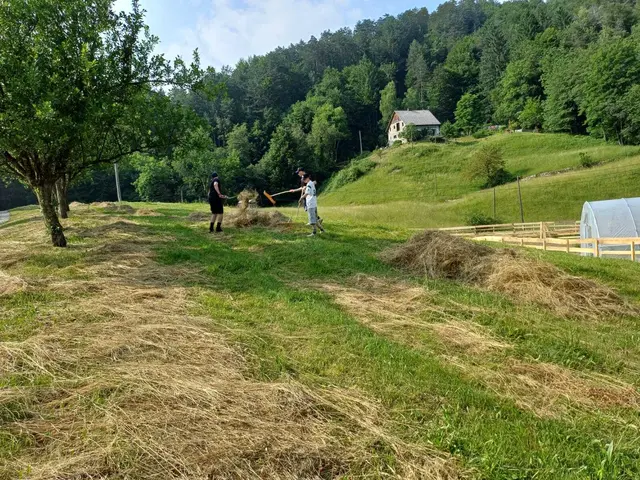 Beim dritten Austausch und beim Familycamp wurde gemeinsam gearbeitet. | Foto: Chiara Grossl