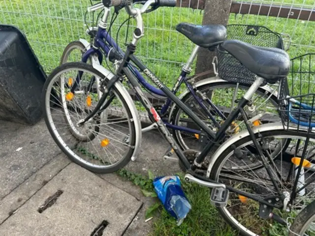 Rechtmäßige Besitzerinnen und Besitzer können sich bei der Polizei melden.  | Foto: LKA Steiermark