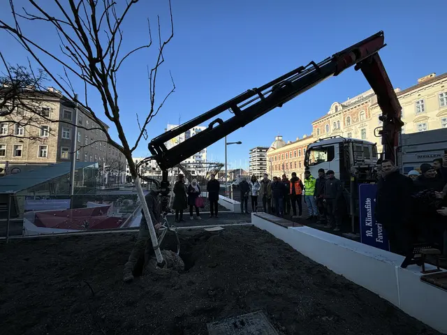 Foto: Nathanael Peterlini/MeinBezirk