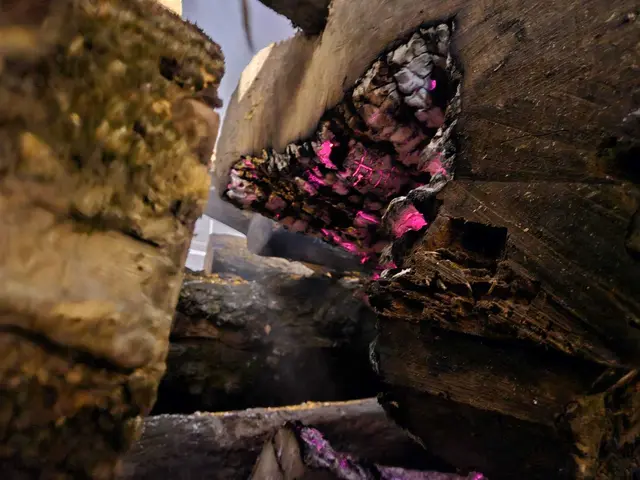 Foto: Bfkdo Amstetten / FF Aschbach