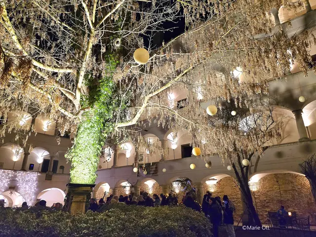 Adventmarkt, Schloss Spielfeld, 2025
