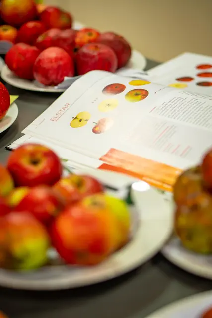 Sortenbestimmung der Moststraße | Foto: Cleanhill Studios