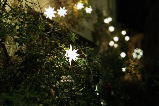 Lichter, Christbäume, Glühwein und mehr erwartet Besucher beim Advent im Park. | Foto: Neil Bates/Unsplash