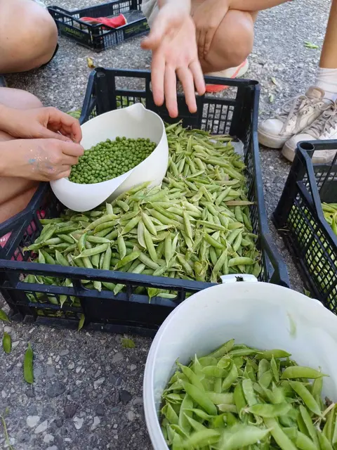 In Slowenien waren die Schüler:innen auf einem Bauernhof in Gorenja Trebuša untergebracht. | Foto: Chiara Grossl