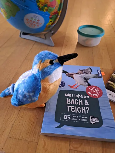 Spielerisch unsere lokale Natur, wie den Eisvogel kennenlernen – eine Selbstverständlichkeit im
Naturpark- Kindergarten.  | Foto: Naturpark Ybbstal