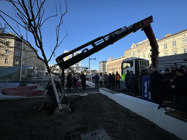 Foto: Nathanael Peterlini/MeinBezirk