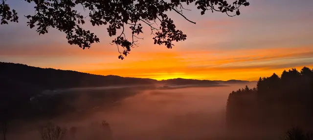 Viele Morgen das gleiche Motiv, aber immer ist ein kleiner Unterschied dabei🫠
