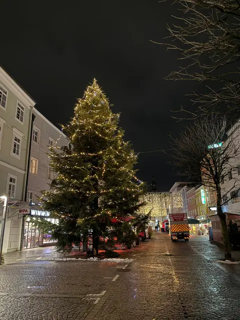 Die Christbäume kommen von der Bevölkerung. | Foto: Stadtgemeinde Vöcklabruck