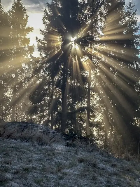 Werte kann man nicht lehren,
Werte muss man vorleben.
Foto: Glaser 