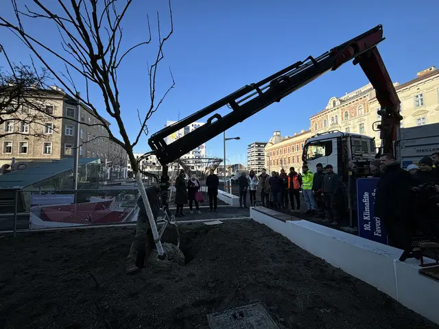 Foto: Nathanael Peterlini/MeinBezirk