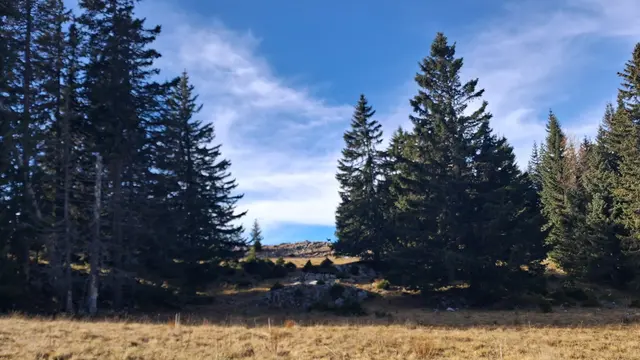 ...aber leider sehr weit entfernt.
Und schon wieder hat die Lisi einen Beitrag eingestellt 🫣und würde sich freuen, wenn ihr Lust drauf habt.
DANKE ☺️