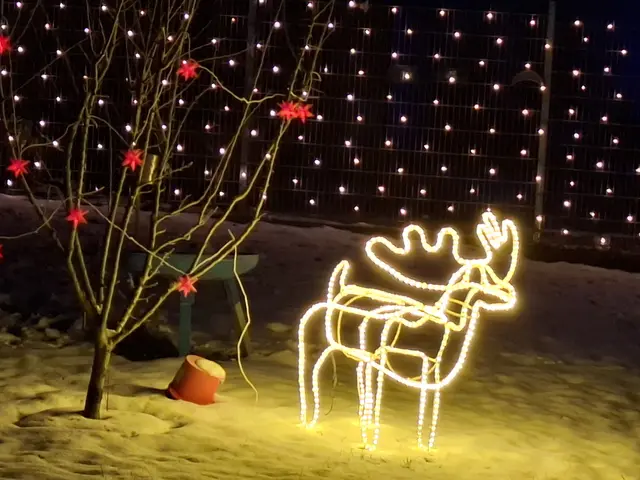 Das Weihnachtshaus zwischen Bad Kreuzen und Pabneukirchen an der Greinerwald Landesstraße.  | Foto: Zinterhof