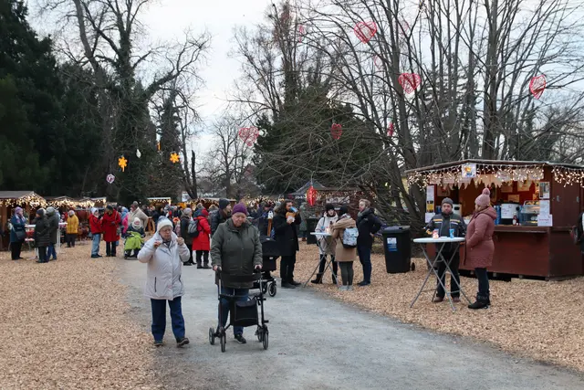 Foto: Manfred Wlasak