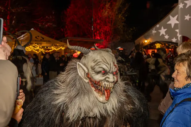 Foto: cine-motion.at / R. Ivanek