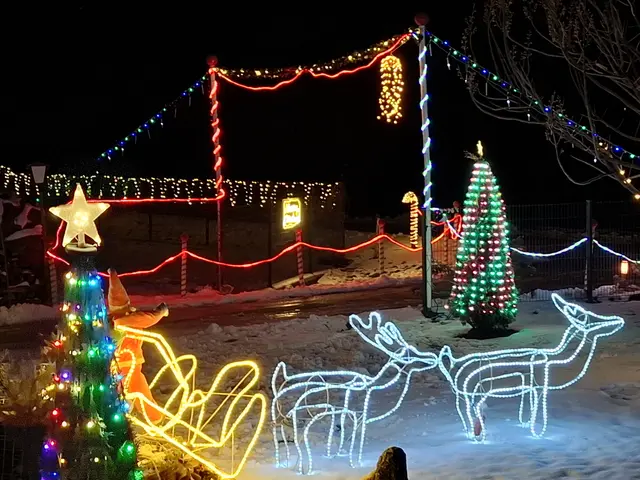 Das Weihnachtshaus zwischen Bad Kreuzen und Pabneukirchen an der Greinerwald Landesstraße.  | Foto: Zinterhof