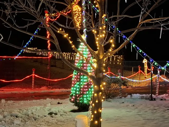 Das Weihnachtshaus zwischen Bad Kreuzen und Pabneukirchen an der Greinerwald Landesstraße.  | Foto: Zinterhof